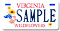 Wildflower Plate